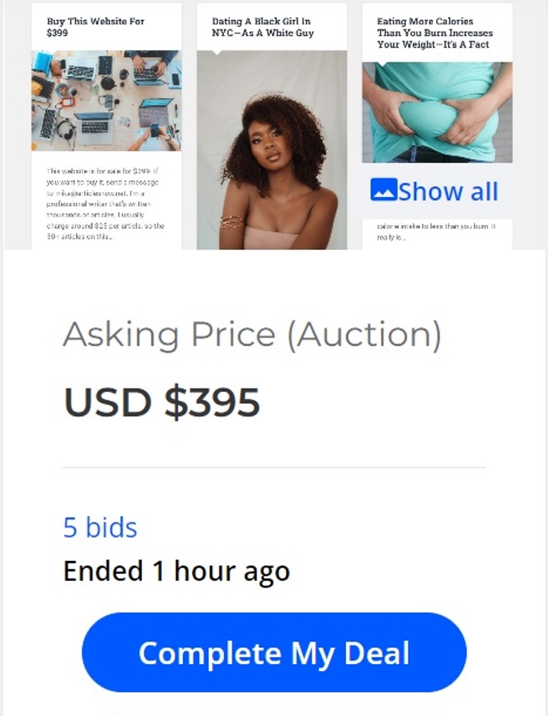 Blog sold for $395 on Flippa